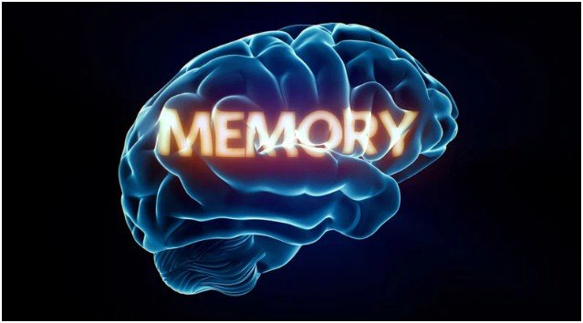 How-To: Build a simple weekly routine for memory-friendly eating