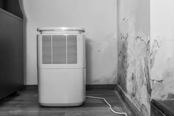 How Do I Reduce Moisture and Humidity to Repel House Centipedes